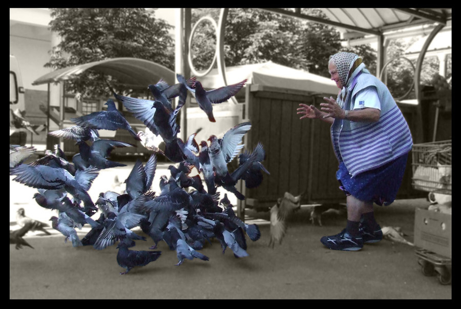 Old woman & pigeons by Nejc Franca