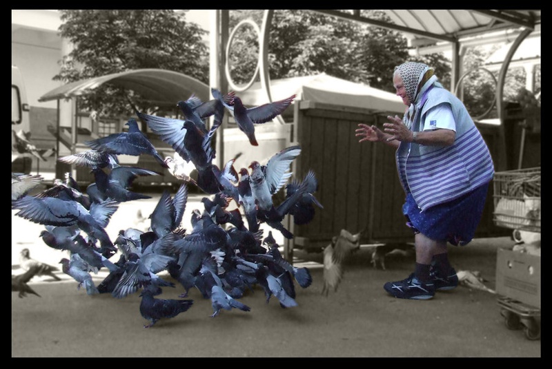 Old woman & pigeons by Nejc Franca