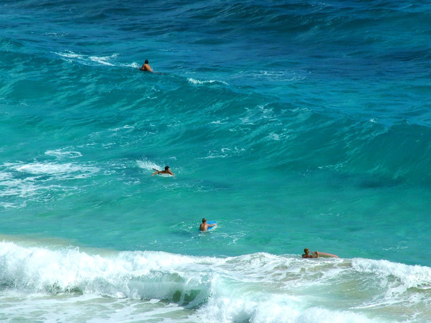 Surfs up, dudes! by Miha Travnik