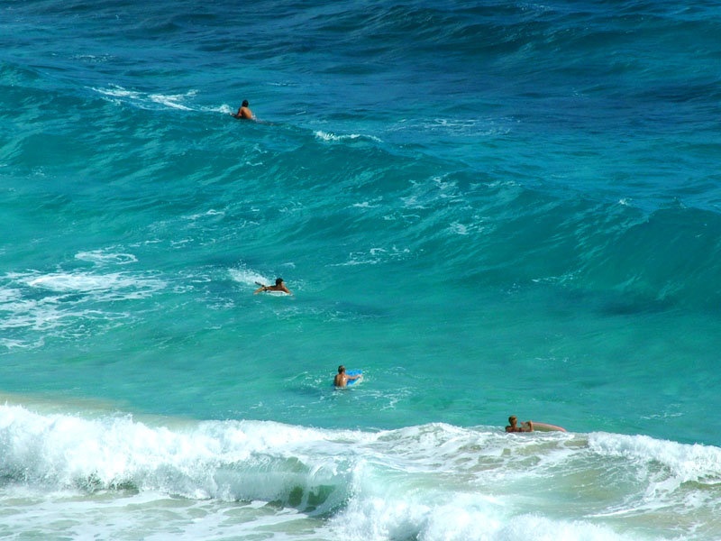 Surfs up, dudes! by Miha Travnik