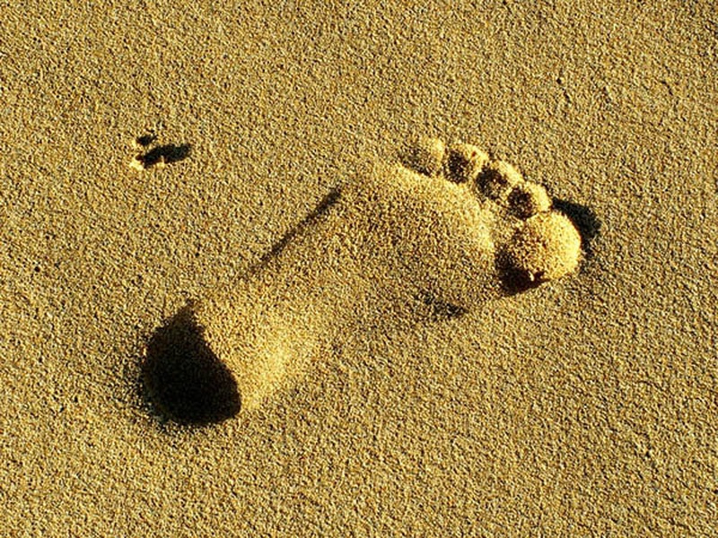 Foot by Miha Travnik