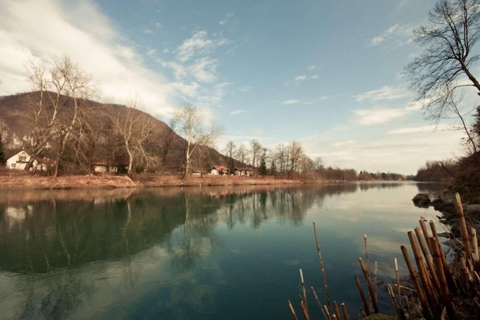 Spring by jan markelj