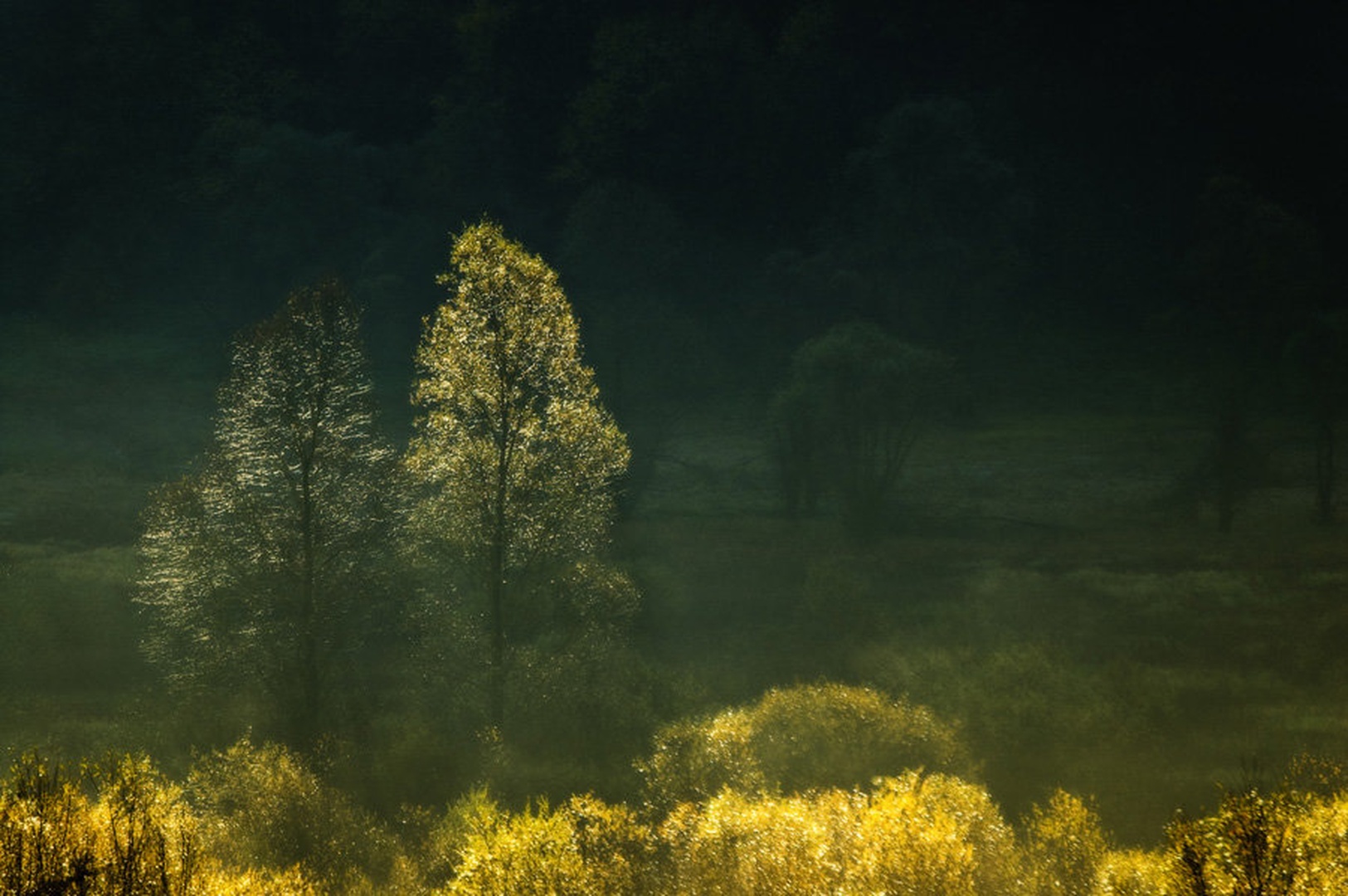Ujeto jutro by Gregor Bornšek