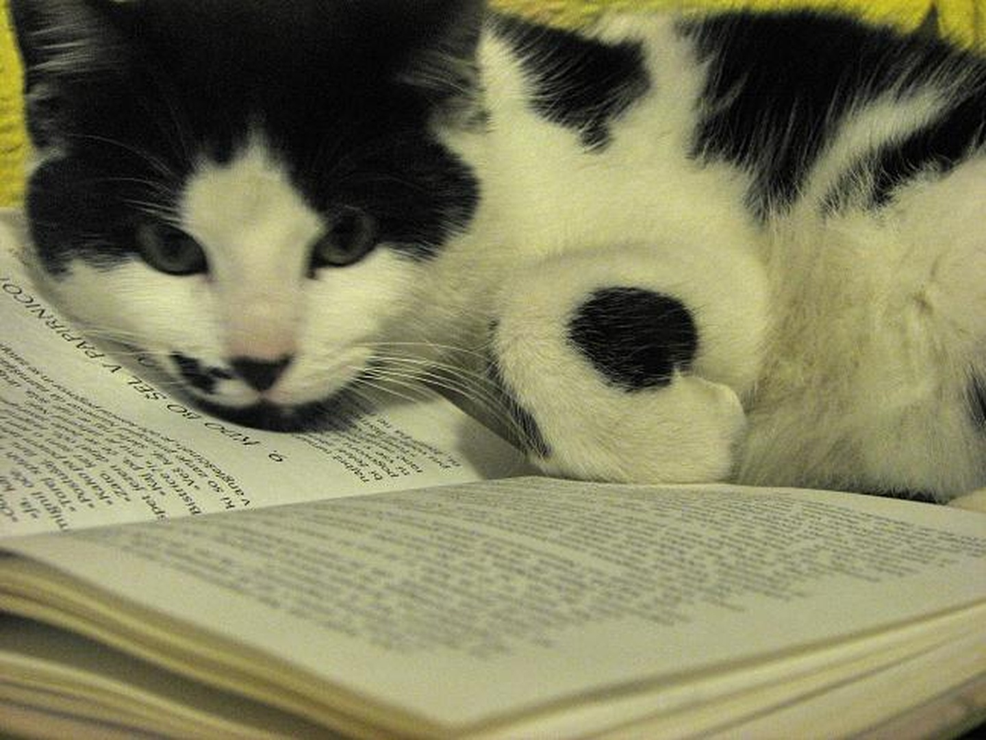 read by Mateja B