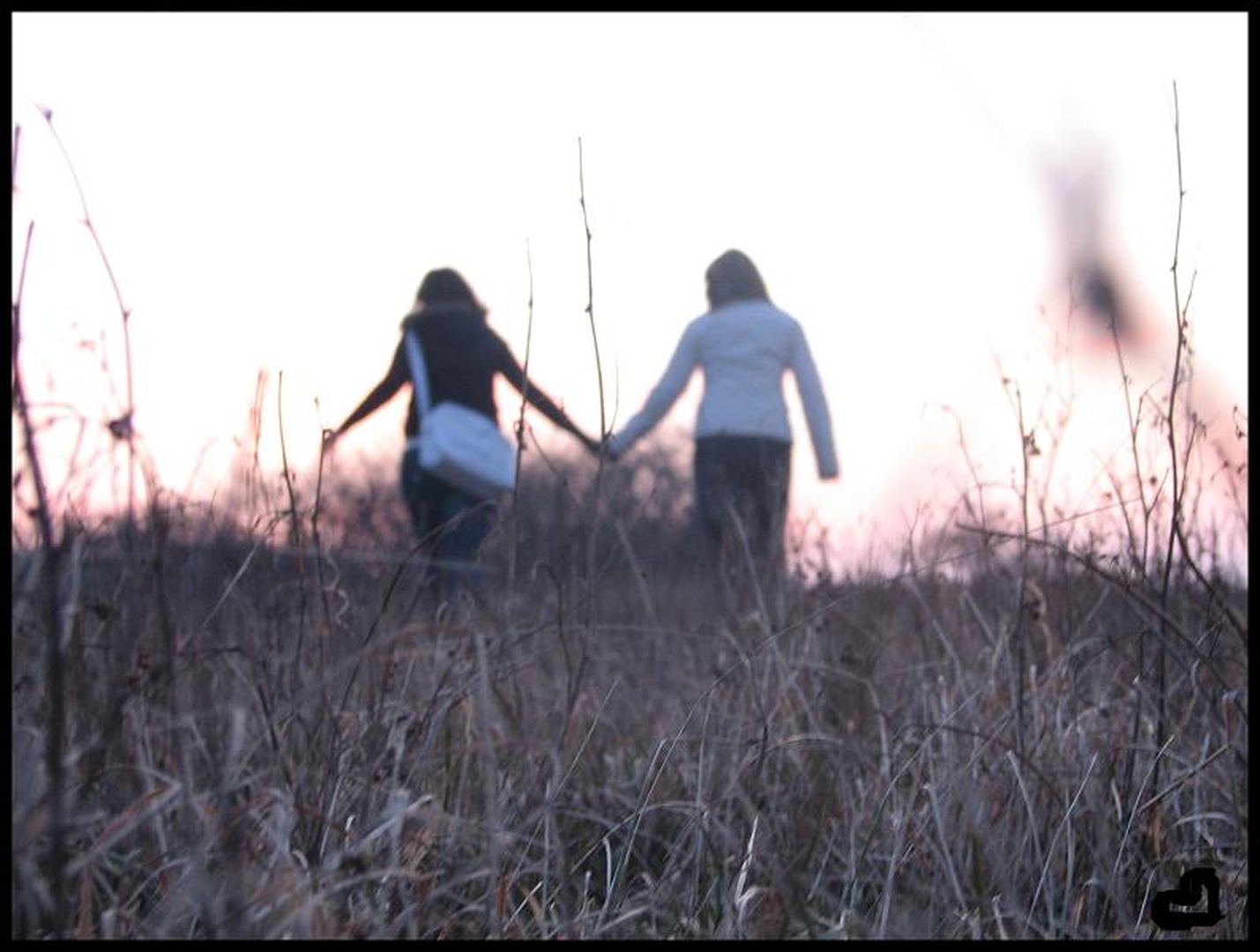 Friendship* by Mateja B