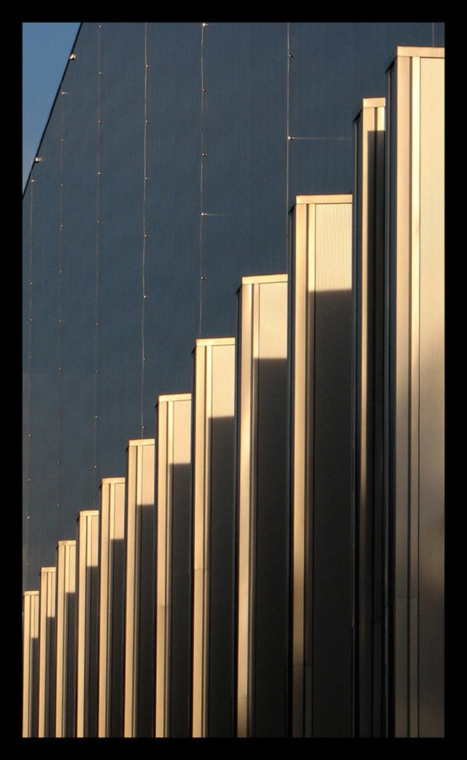shadows of capitalism. by Matej Molek