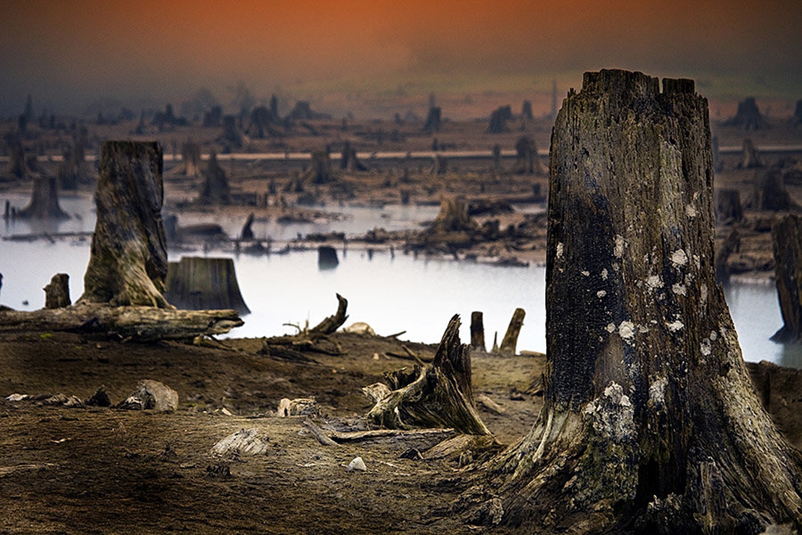 Sunrise by Sanjin Jaganjac