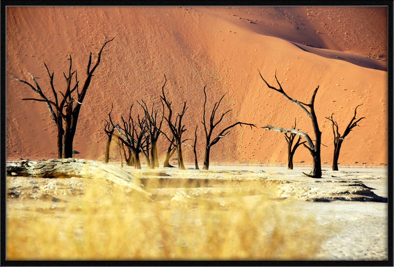 Deadvlei by Izidor Gašperlin