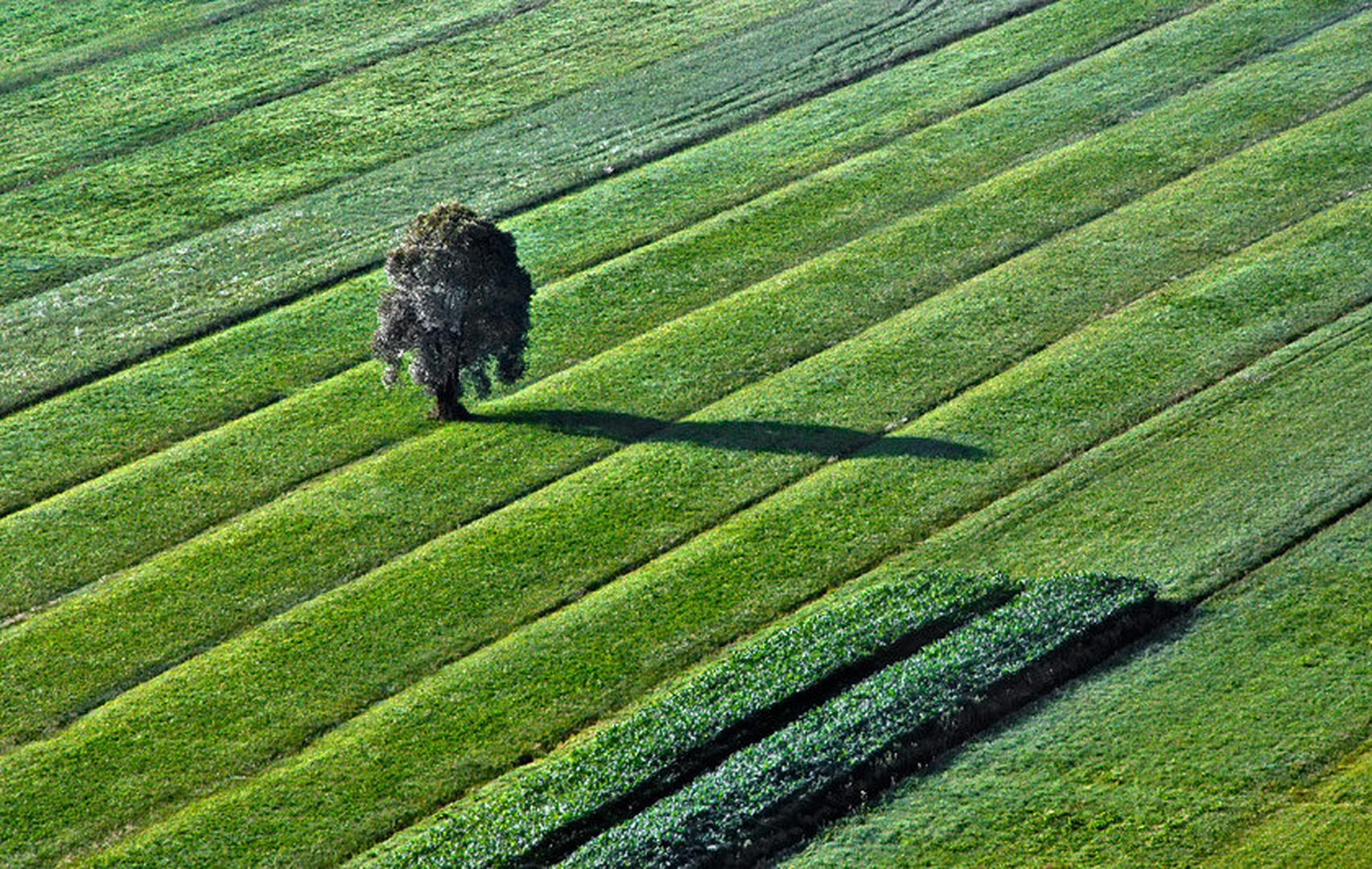 Jutranje diagonale by Izidor Gašperlin