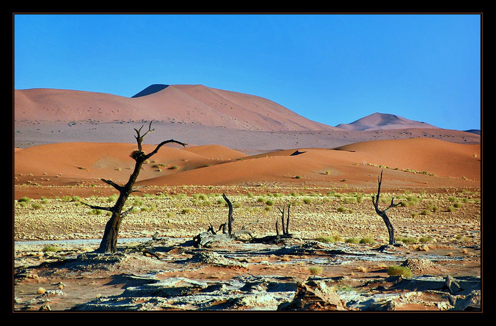 Deadvlei II by Izidor Gašperlin