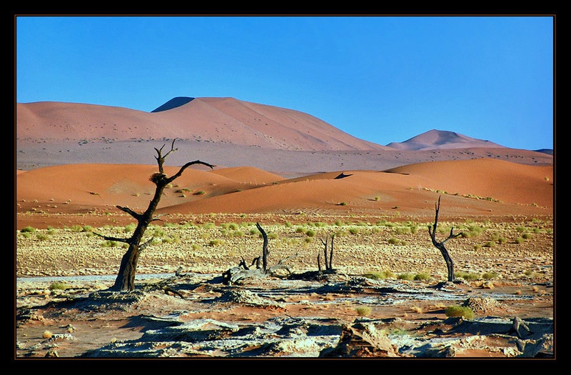 Deadvlei II by Izidor Gašperlin