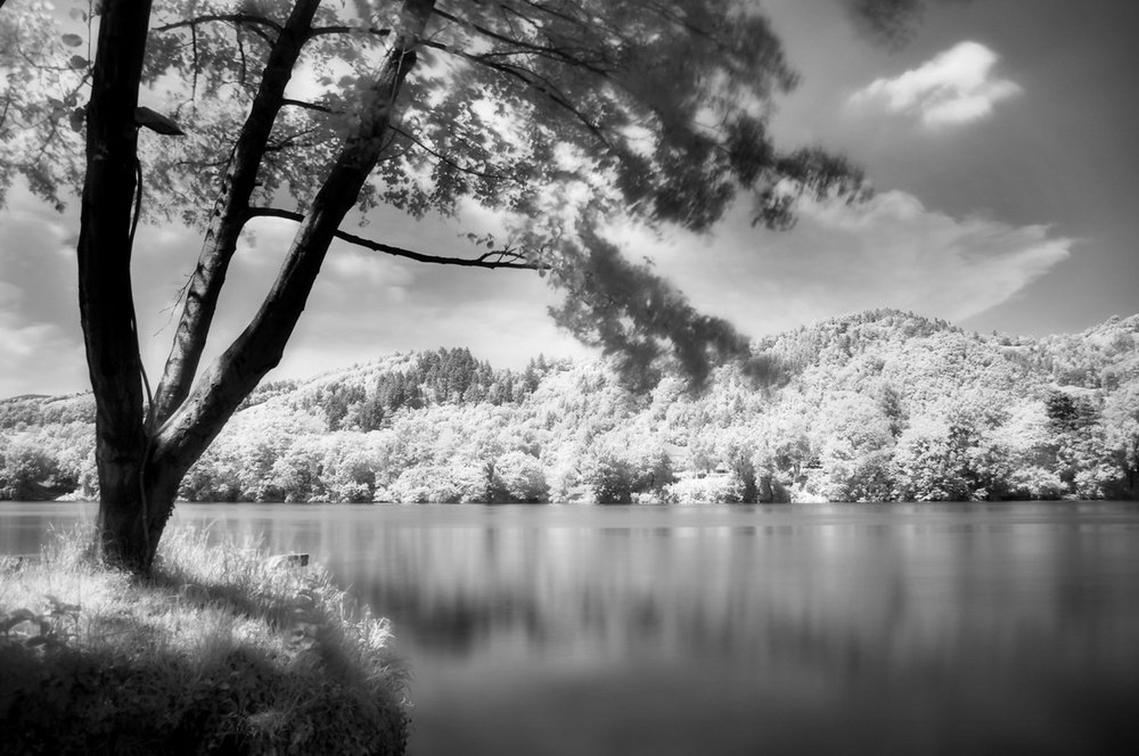 Drava by Zdene V.