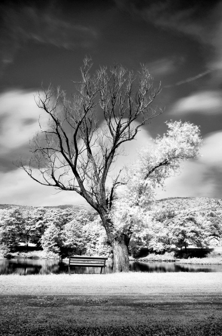 Starost by Zdene V.