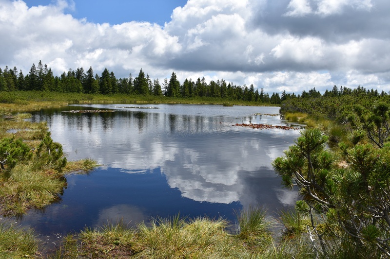 Ribniško jezero by J.B.