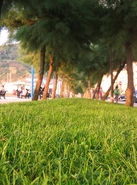 Do konca by jado