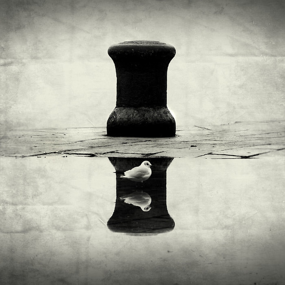 double reflection by Marin Mešter