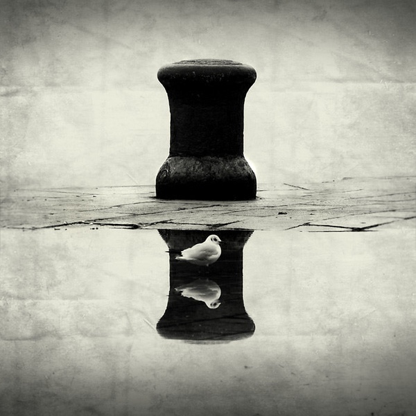double reflection by Marin Mešter