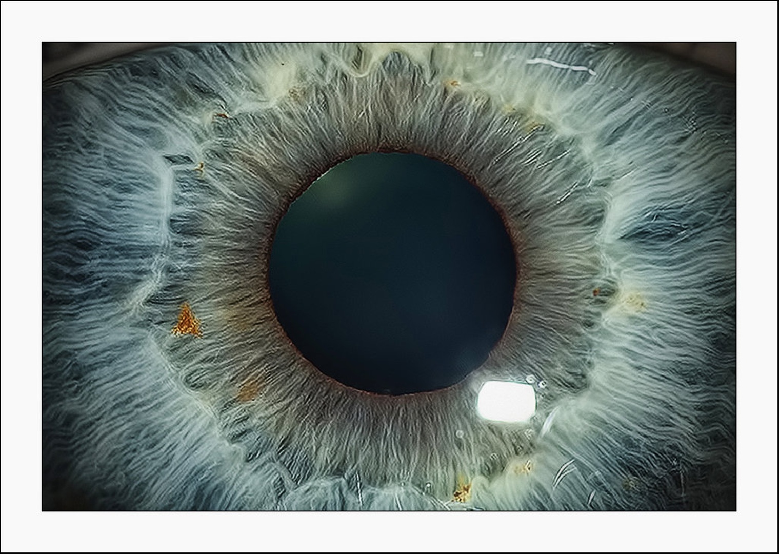 eye by M. M.
