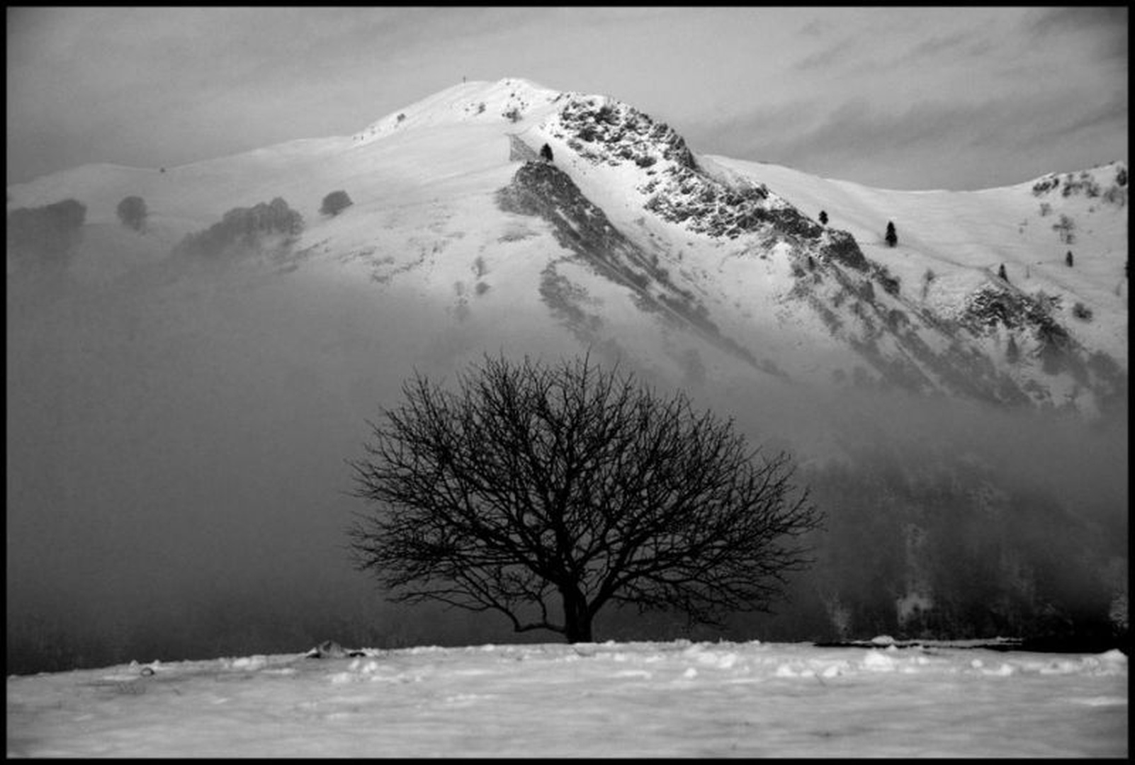 Snežna črnina by MihaVencelj