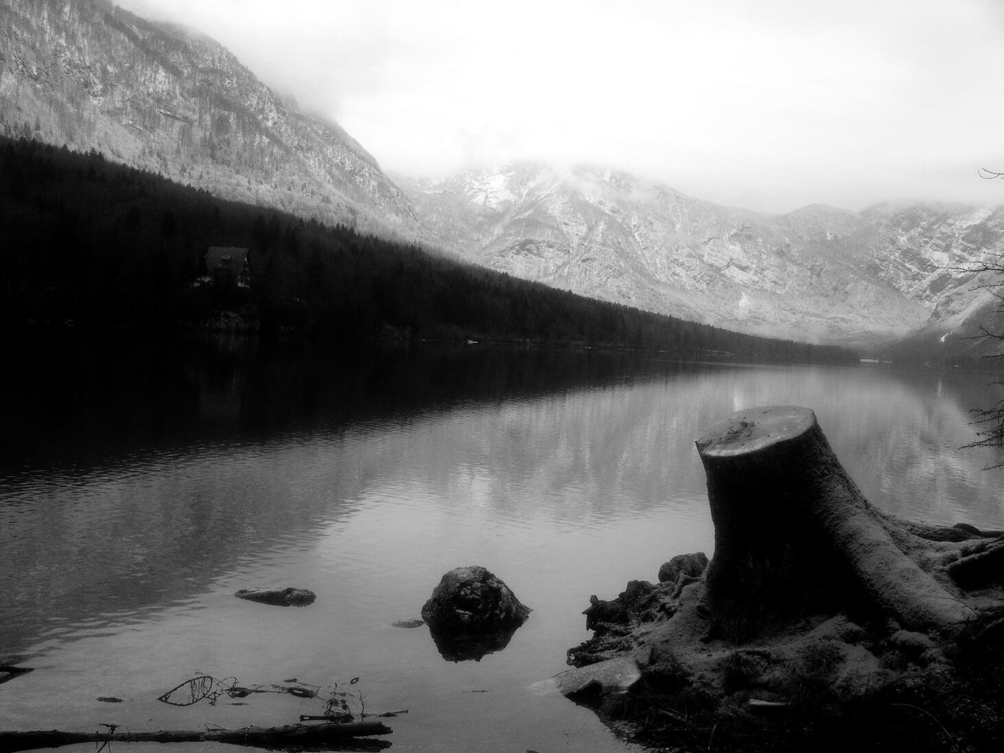 Bohinj by Vinko Bandelj