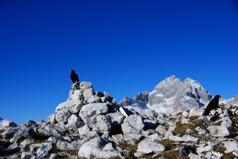Pogled na Triglav by Aleš  Kržišnik