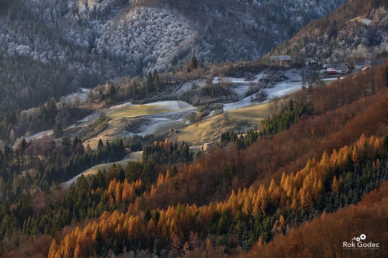 Rdečelaska by Rok Godec