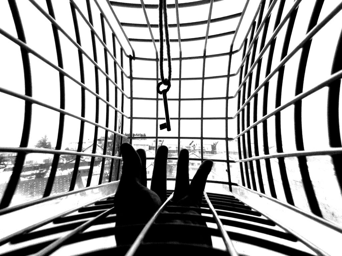 ujet by Dali double07