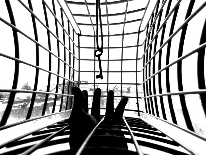 ujet by Dali double07