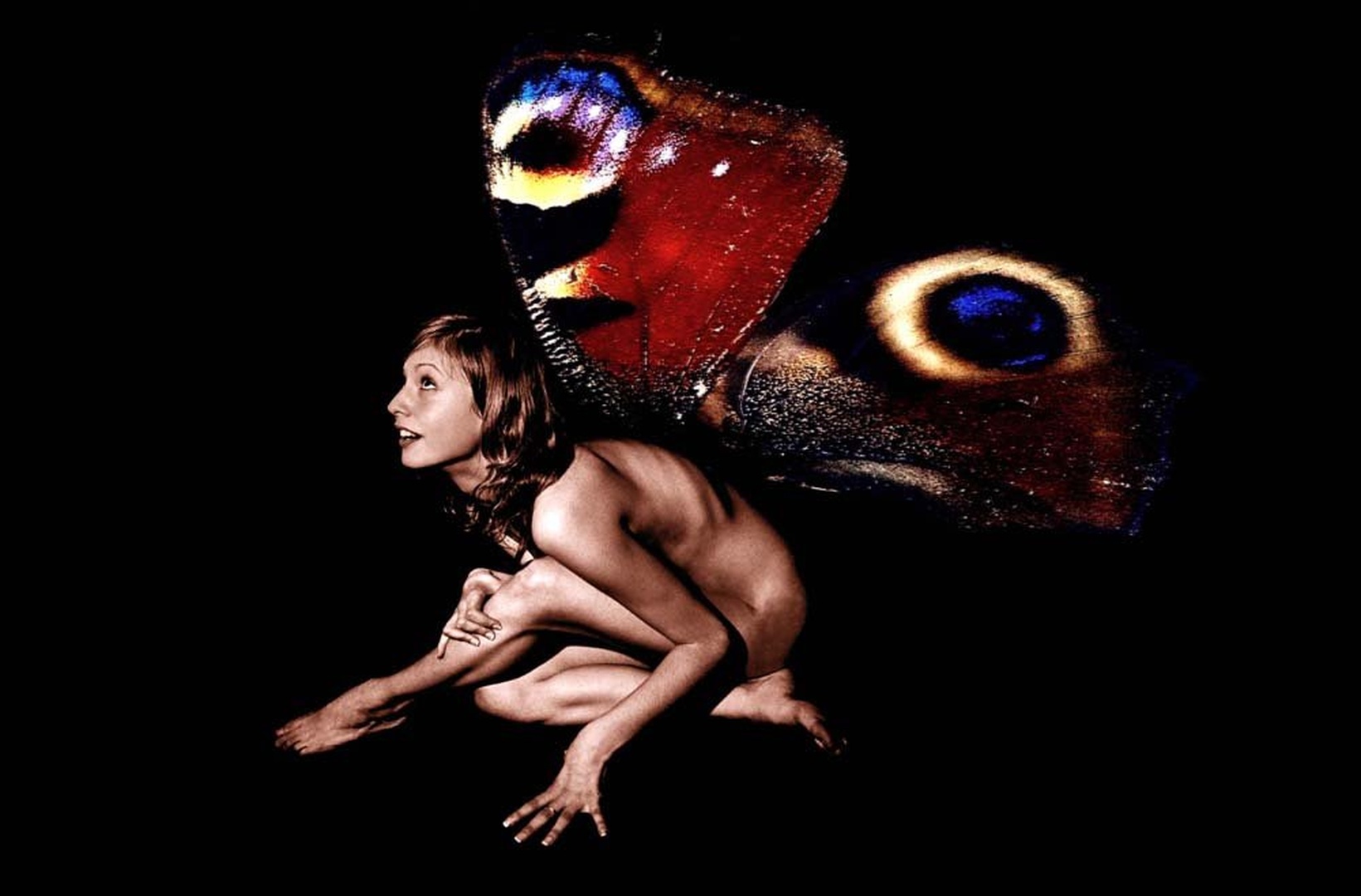 Flying cat by