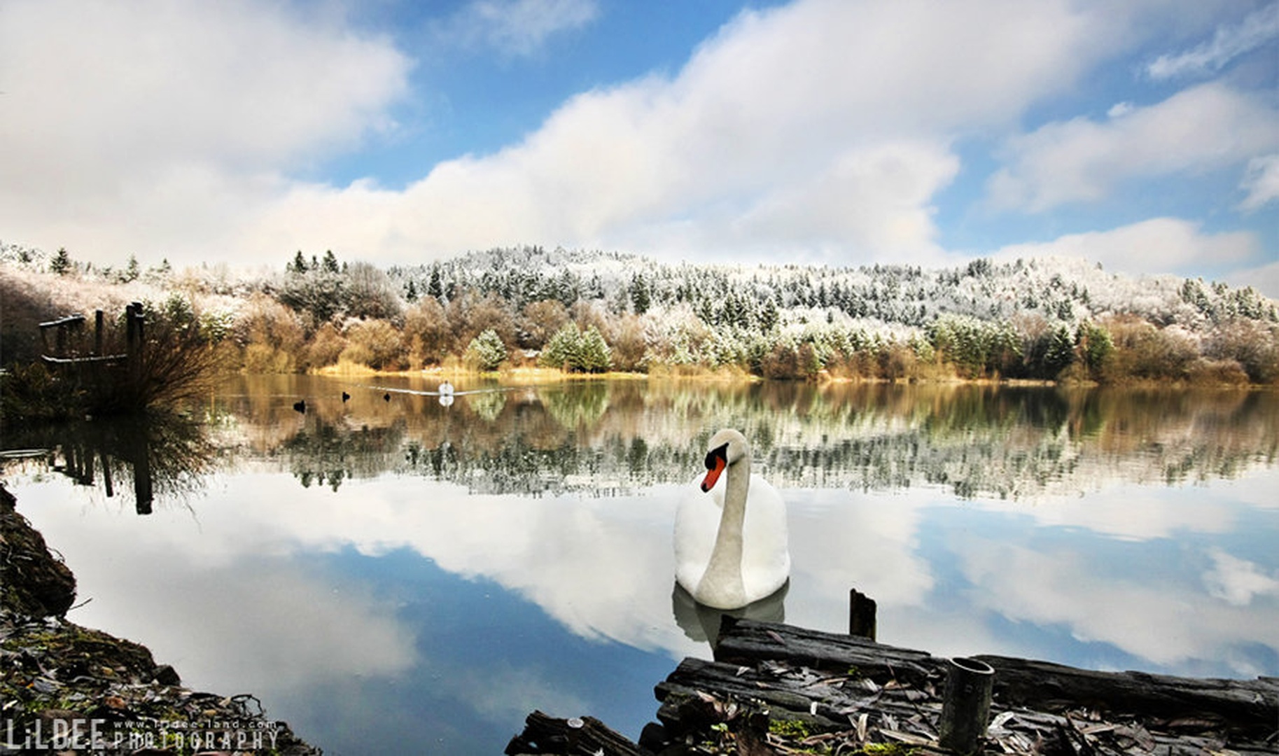 Labodje jezero. by LiL Dee
