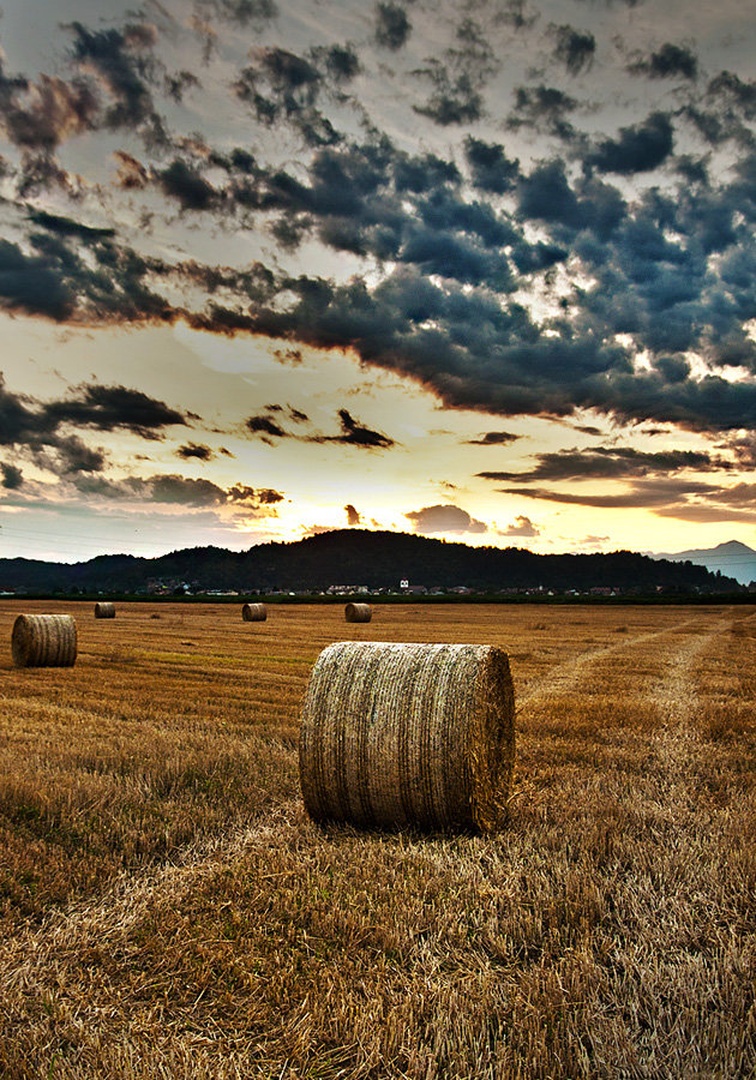 Bale. by LiL Dee
