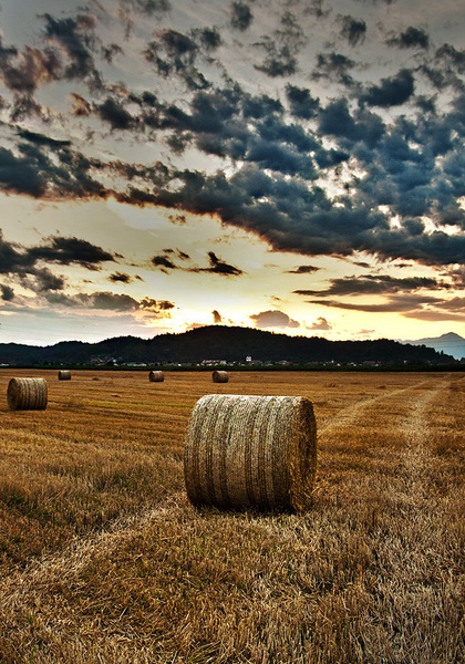 Bale. by LiL Dee