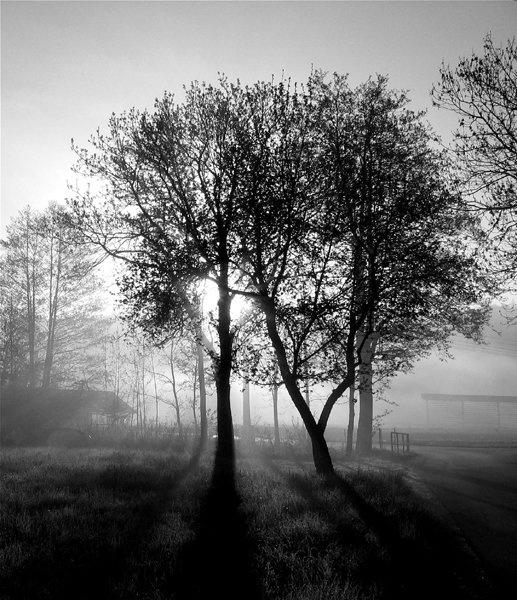 Današnje jutro by samsara