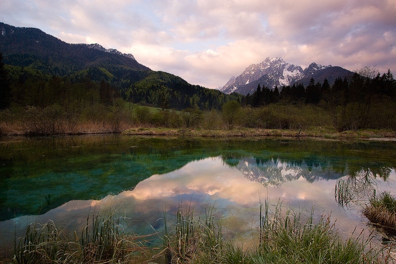 Zelenci in Ponca by Blaž Kristan