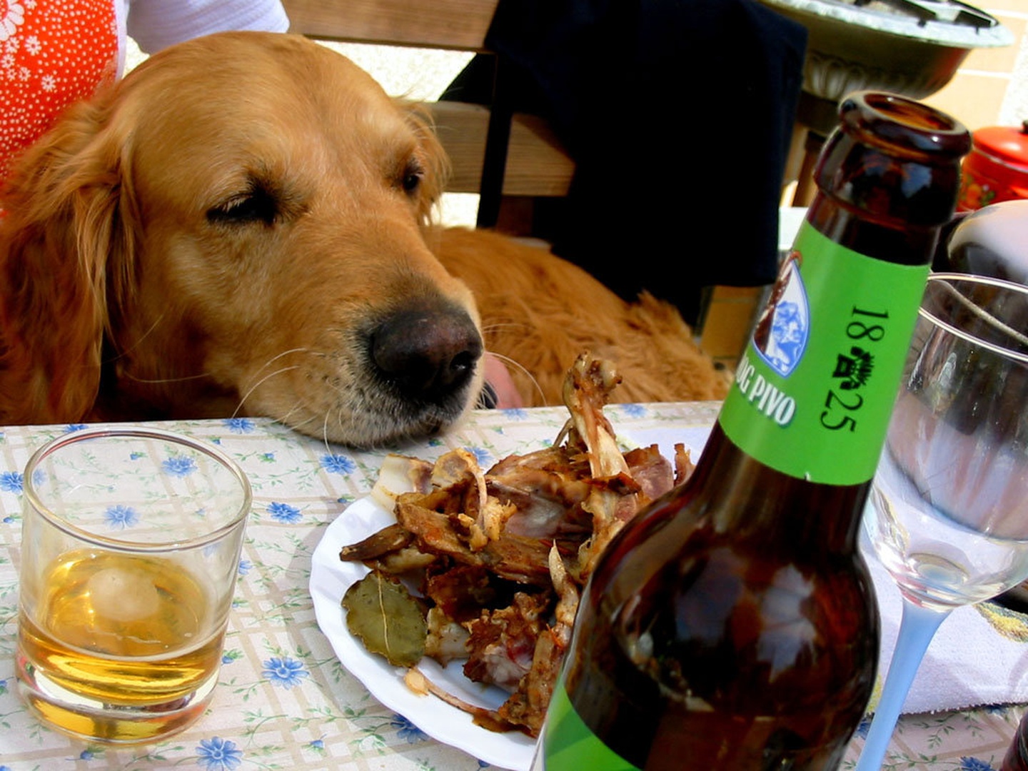 drink, eat or sleep? by