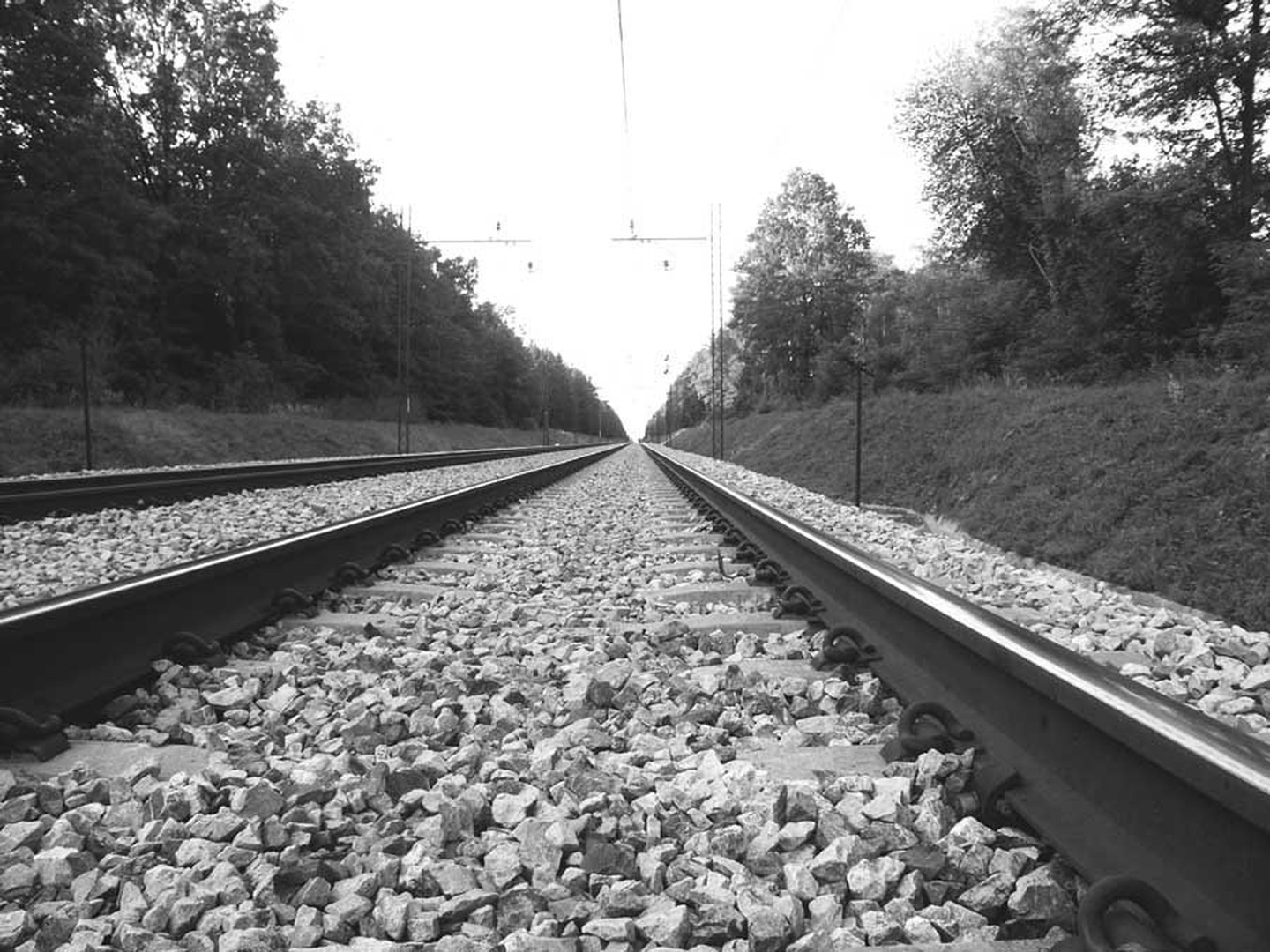 Domov by