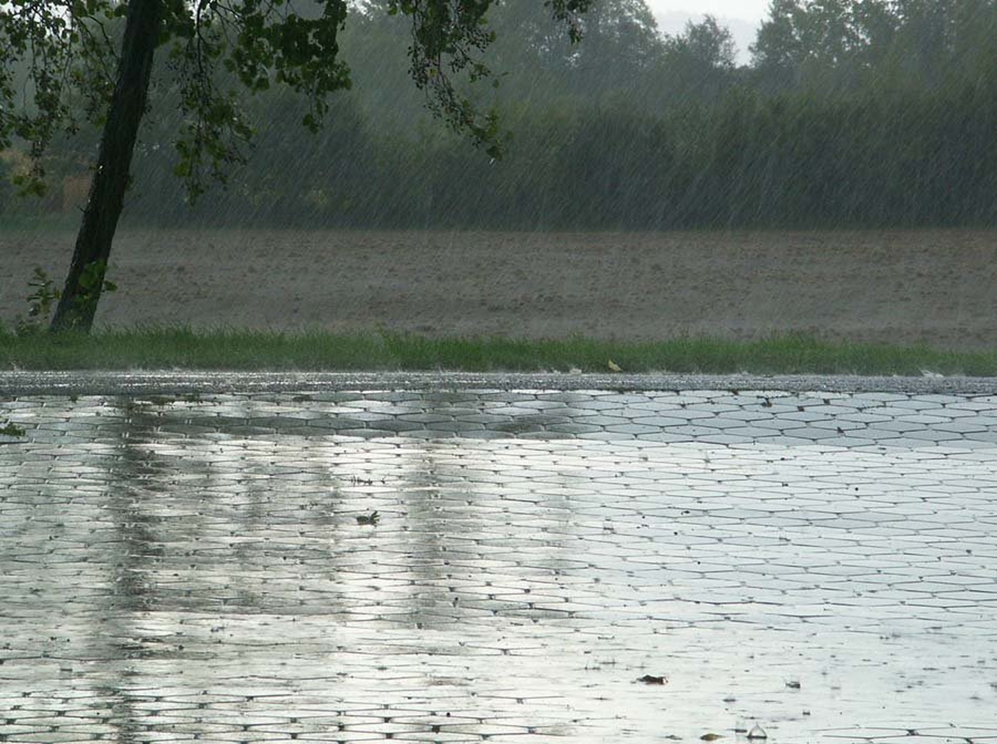 Dež by