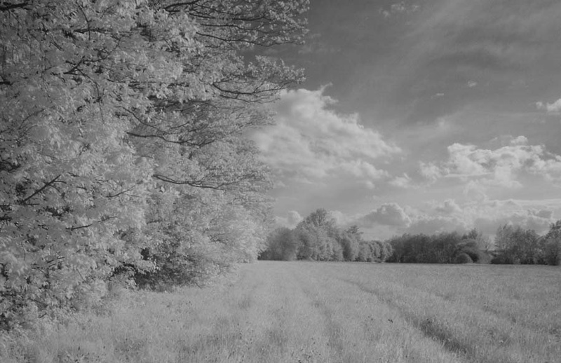 IR original by rado