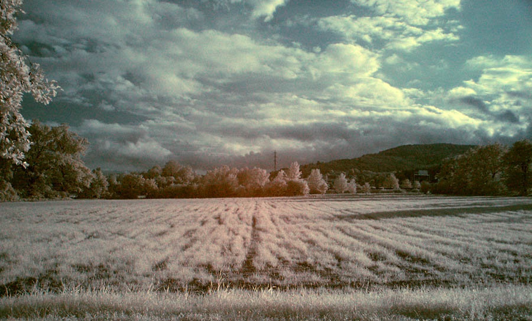 Test IR by