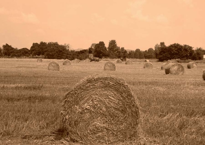 Bale by rado