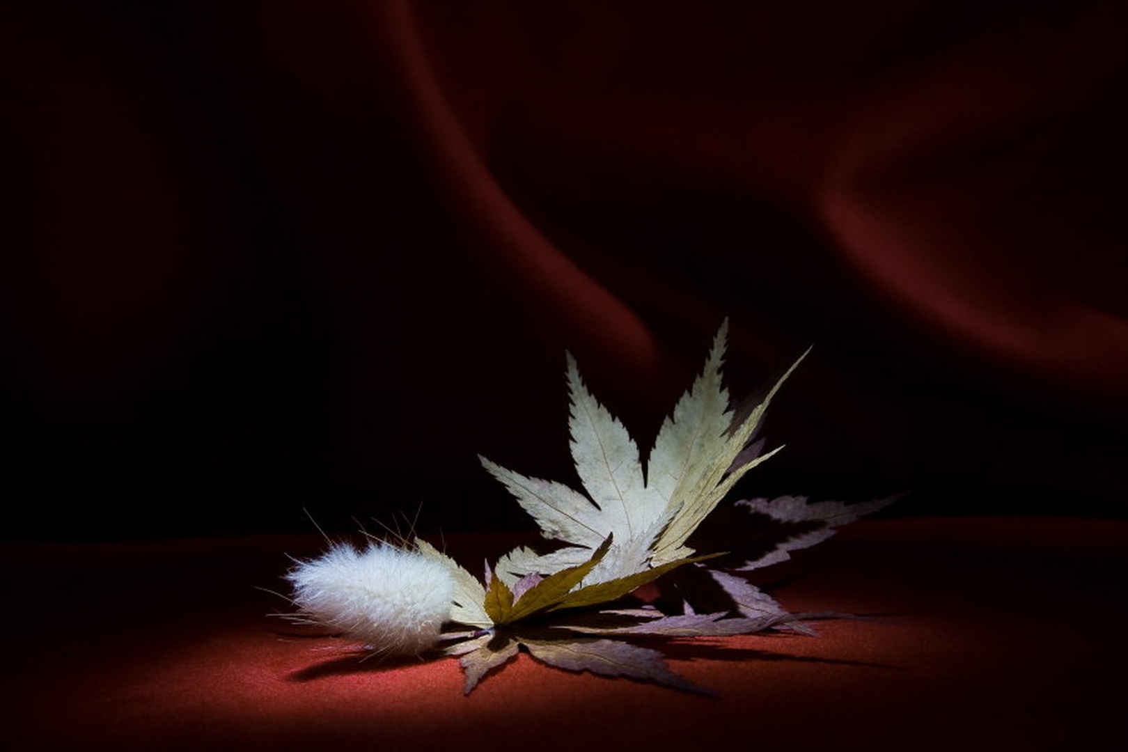 samota 4 by