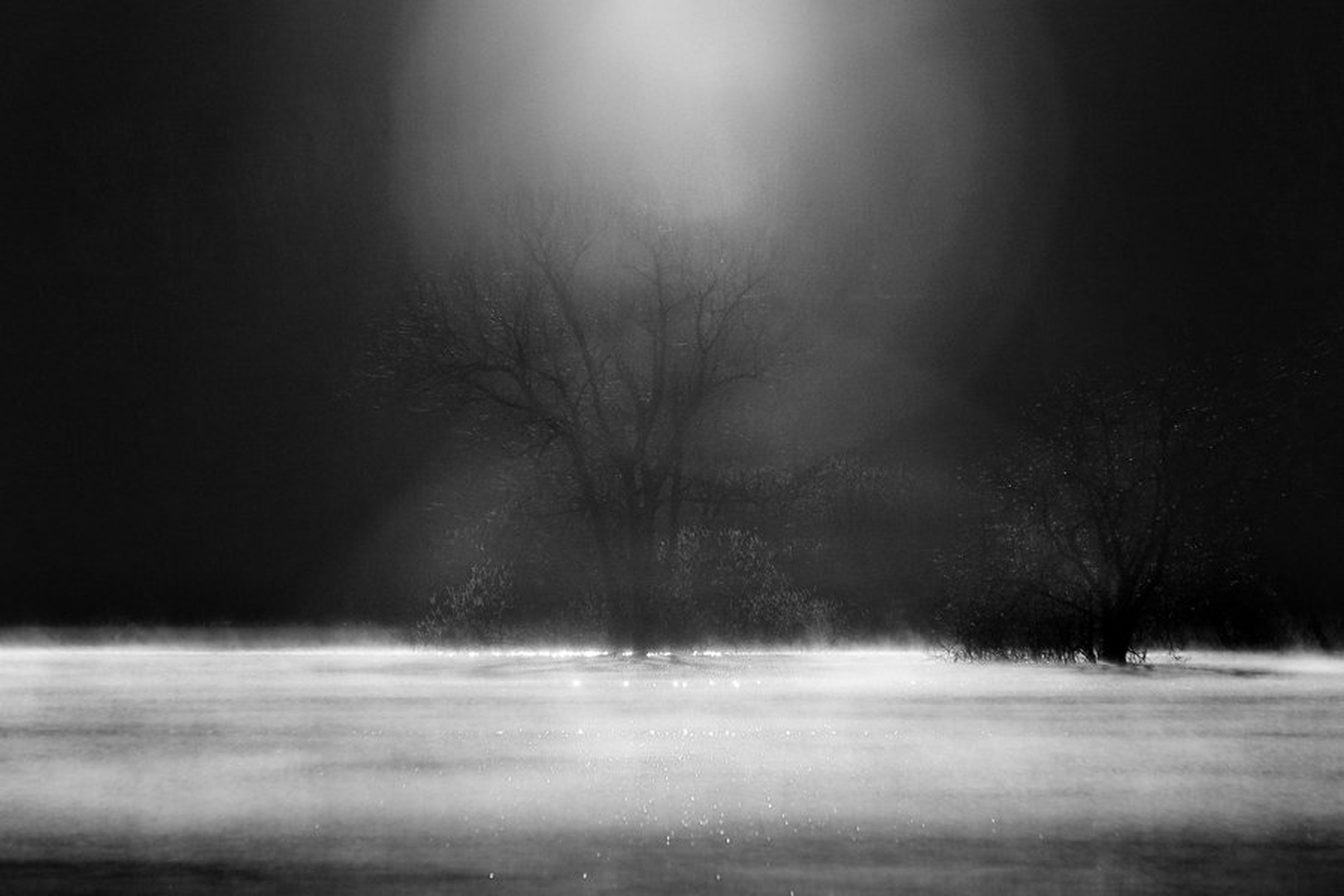 prebujanja II by