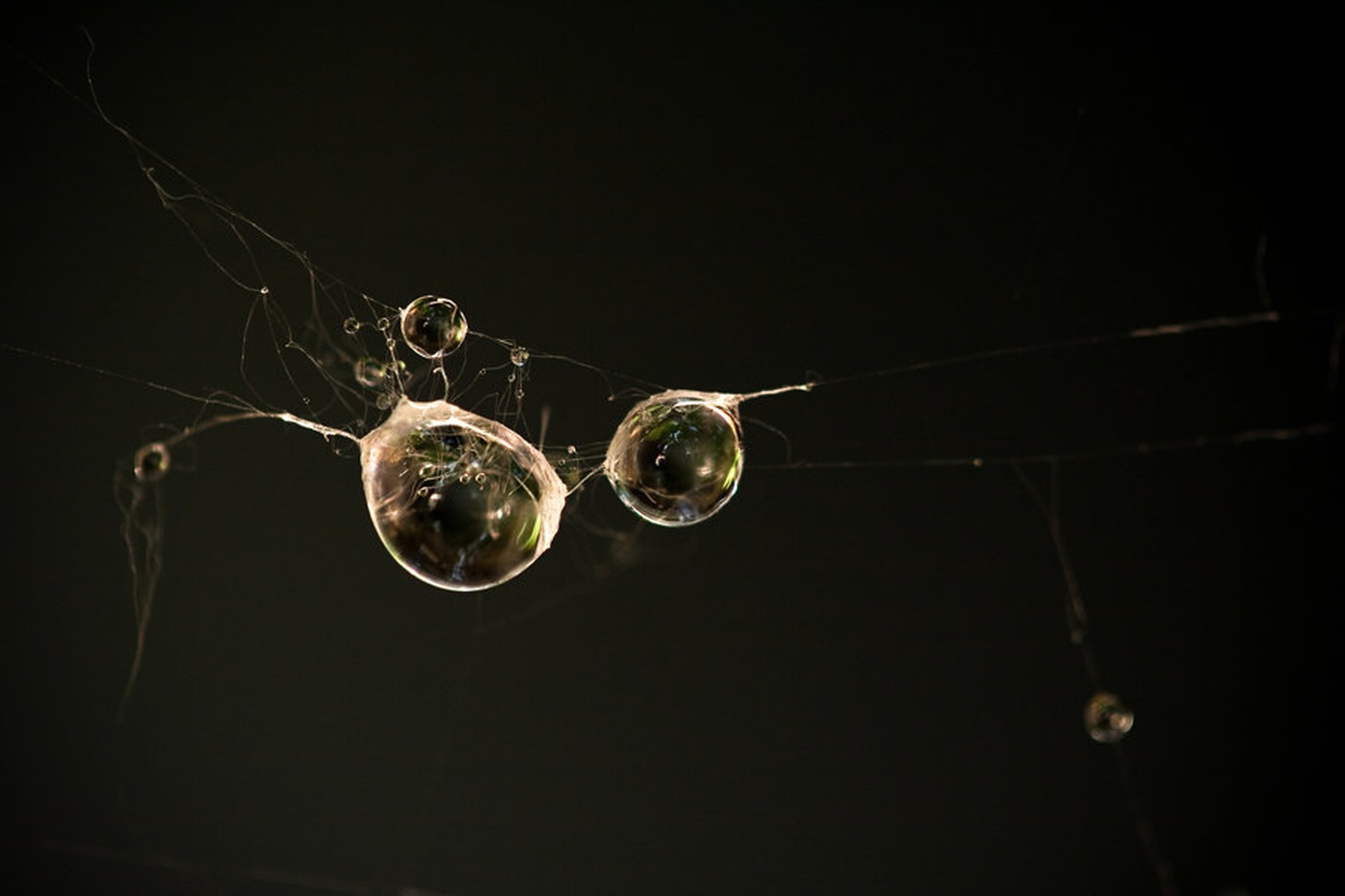 povezane II by