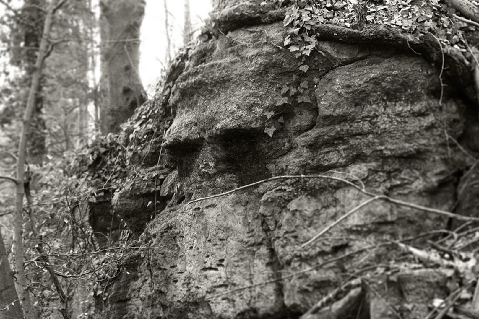 Stone Face by Peter