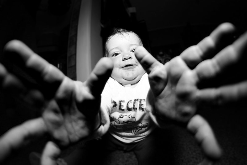 I'm a little spider by Peter