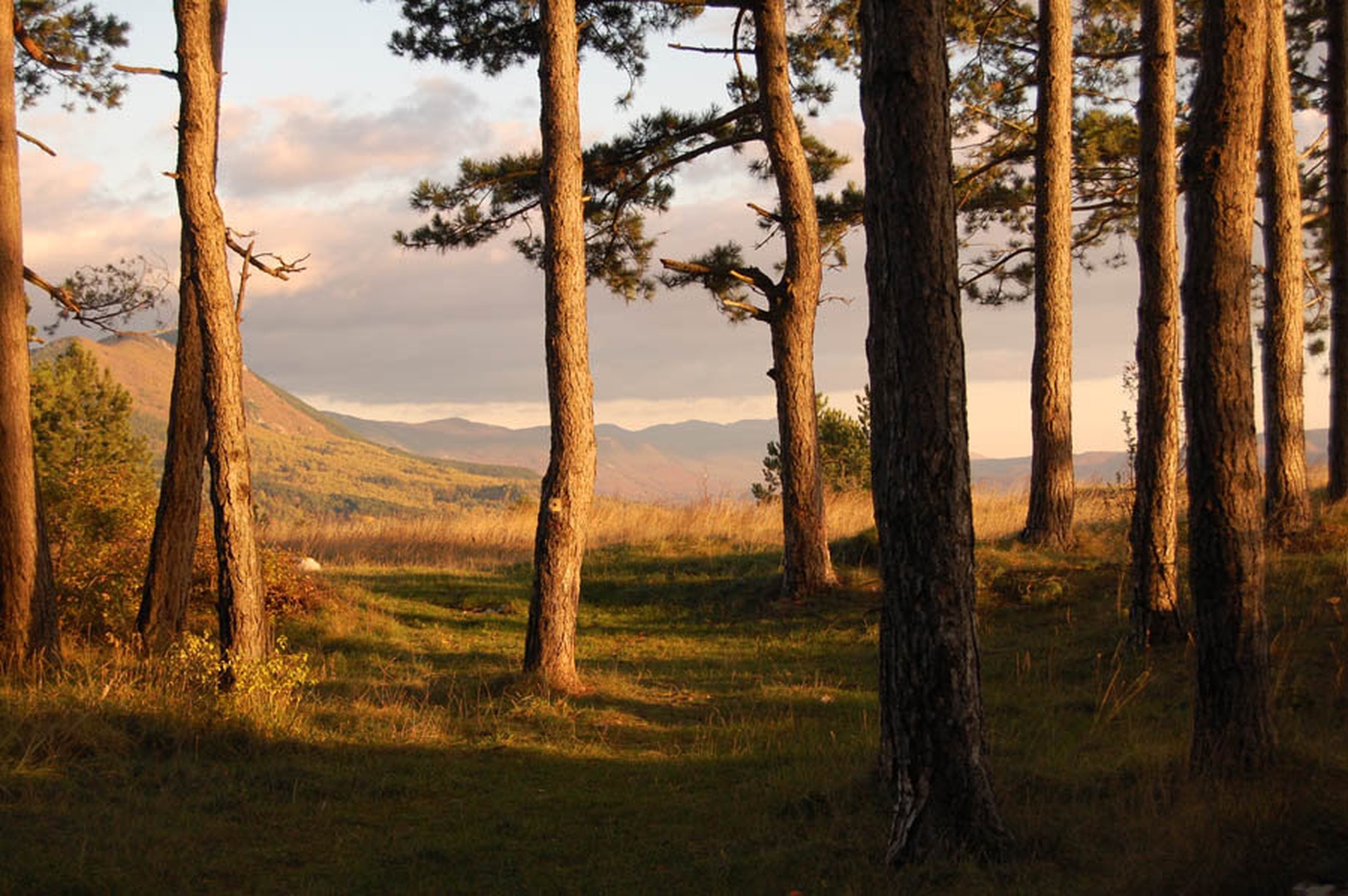 Pravljica by Oskar Štrajn