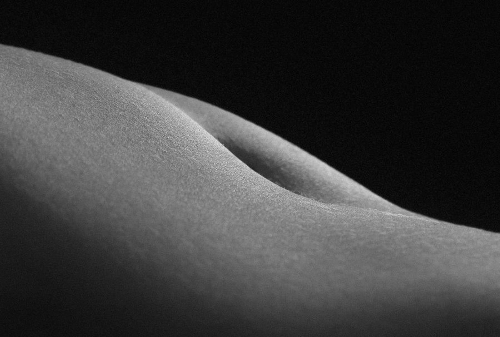 Mysterious curves by Saša Manojlovič