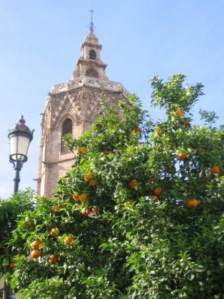 pomaranče in katedrala by poki