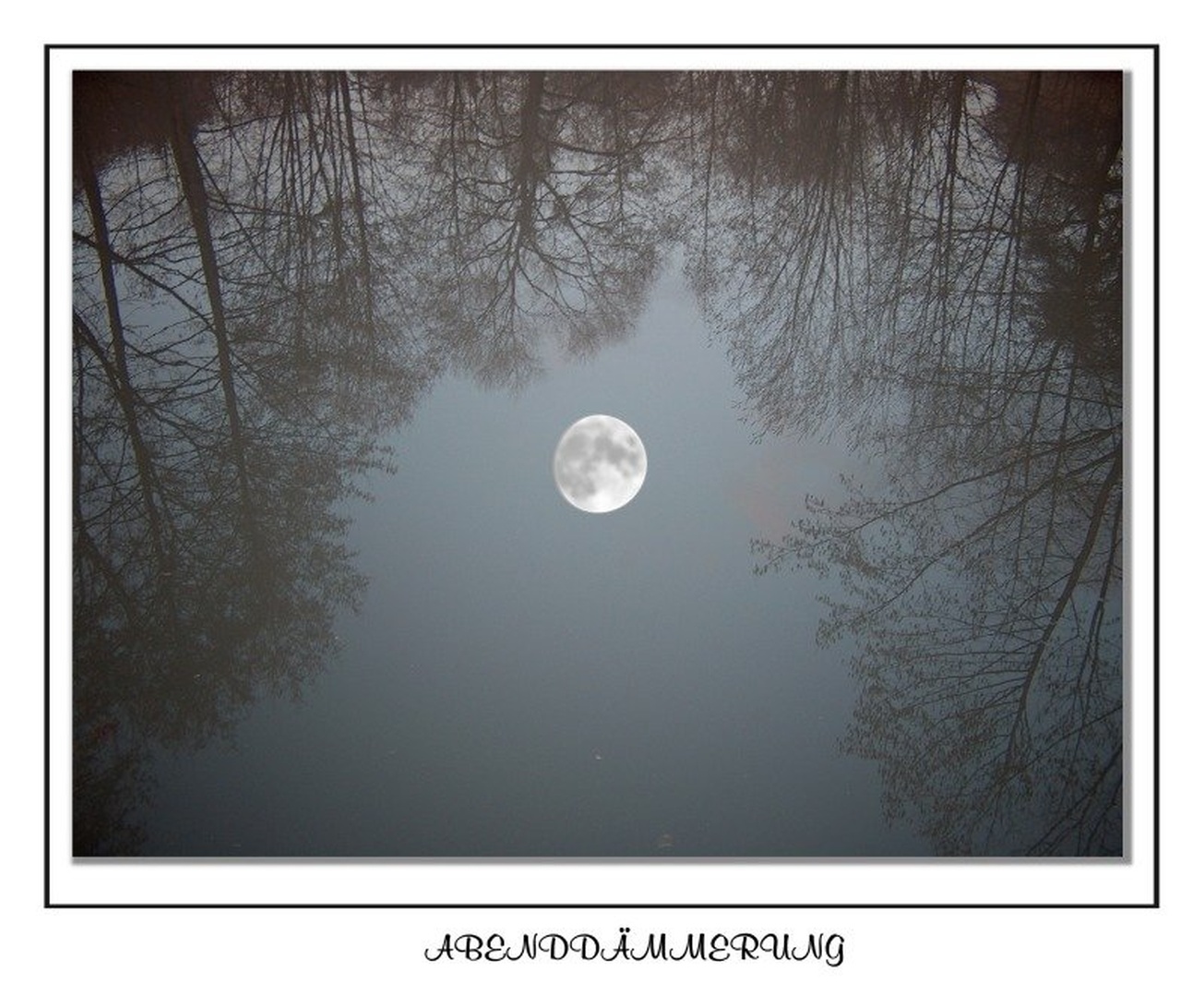 polna luna by