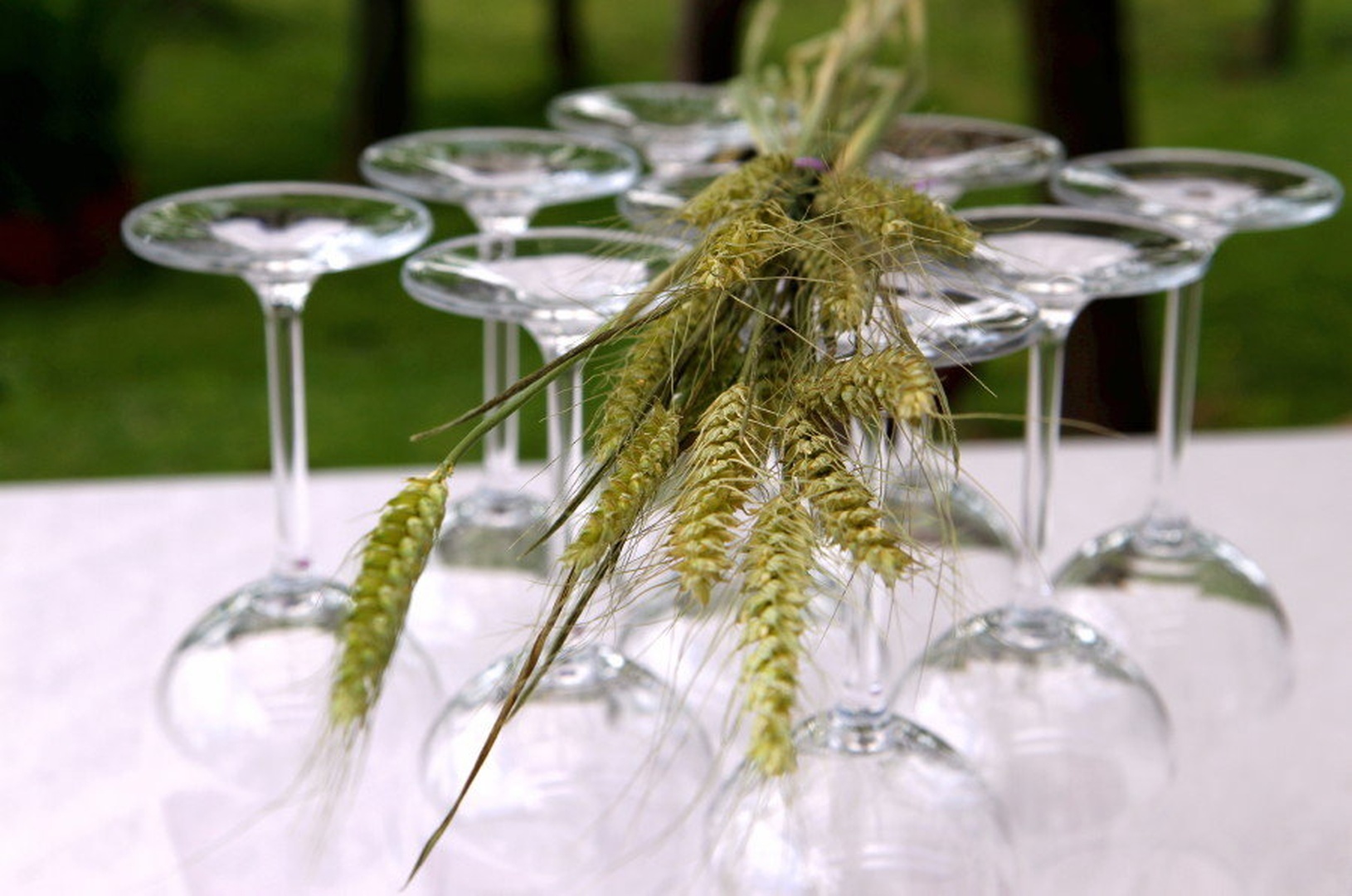 on glass by mateja vesel